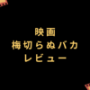 映画『梅切らぬバカ』レビュー